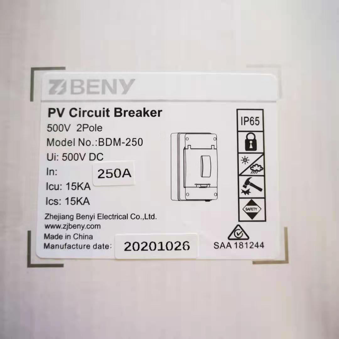 ZJ Beny DC Circuit Breaker 500V 2P ZJBeny Enclosure BDM-250 250A