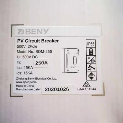 ZJ Beny DC Circuit Breaker 500V 2P ZJBeny Enclosure BDM-250 160A